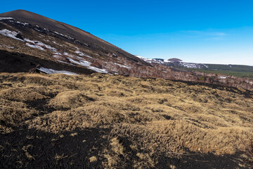 Yellow golden dry grass on the brown dark volcanic sand, bare terrain. Scenic view on volcano mount...