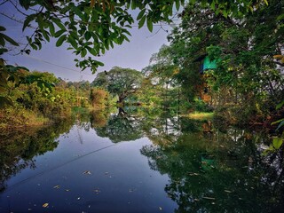 Bank’s of river Periyar at bhoothathankettu, kerala. Reflection of nature on the surface of river.