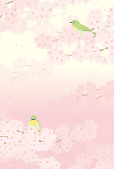 桜と2羽のメジロ（縦長）