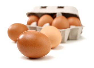 brown eggs on white background