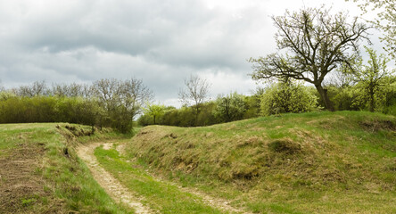 Fototapeta na wymiar A cloudy spring landscape, Czech Republic