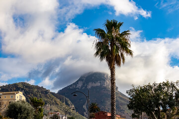 Fototapeta na wymiar A tall palm trees reaching up a blue, slightly cloudy sky in small village in Piano di Sorrento in Campania, Italy, Europe. Meta, Amalfi Coast. Clouds are accumulatinng around nearby mountain, hills