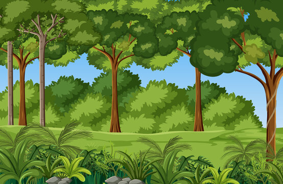 Cartoon jungle environment background