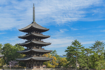 奈良 興福寺 国宝五重塔