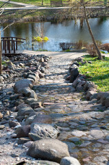 stream in the forest