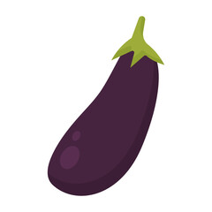 Aubergine vegetable, eggplant isolated sketch. Vector purple vegetable
