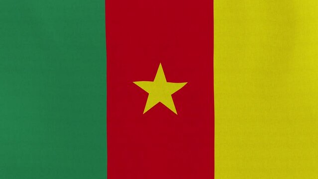 Loopable: Flag of Cameroon.

Cameroonian official flag gently waving in the wind. Highly detailed fabric texture for 4K resolution. 15 seconds loop.