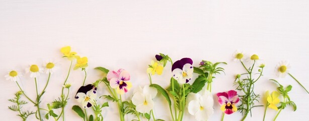 白い背景に春の花のフレーム、エディブルフラワーの背景素材