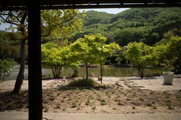 とても美しい日本庭園