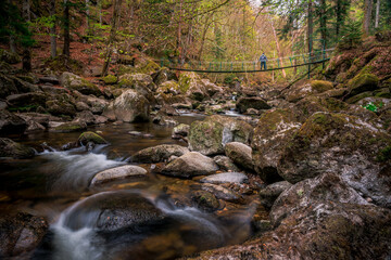 Stones in the river in a mountain valley with green forest. Nature torrent Buchberger Leite in the Bavarian Forest, Germany.