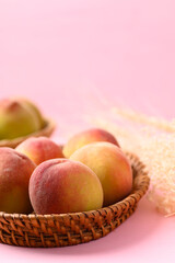 Peach fruit in basket on pink background