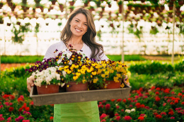 A smiling small business owner is standing in a greenhouse holding a crate of flowers.