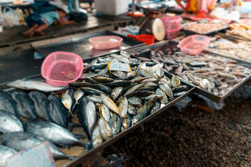 Fish market in Krabi,Raw seafood in a market near the tropical sea