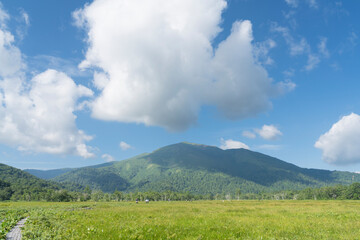 Fototapeta na wymiar 夏の尾瀬で撮影した緑生い茂る草原と山々と、空と雲