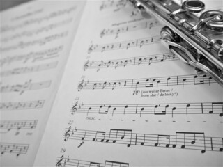 Flute and musical score
