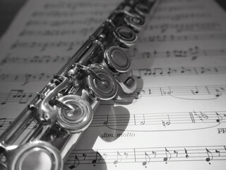 Obraz premium Flute and musical score
