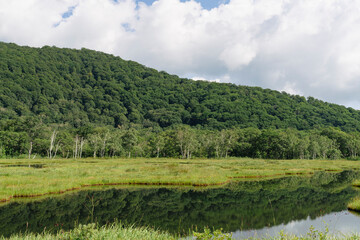 Fototapeta na wymiar 夏の尾瀬で撮影した緑が生い茂る山と、その山が映る池（水鏡）