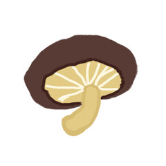 mushroom isolated on white background