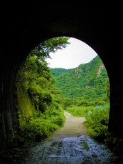 Abandoned Railway with tunnel
