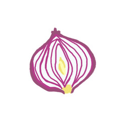 onion isolated
