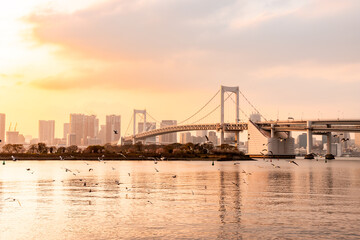 Fototapeta na wymiar Rainbow Bridge, the most famous bridge in Odaiba and Tokyo area with a lot of migrating Black-headed gull or Yurikamome flying by.