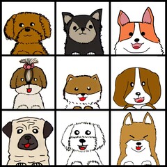 Obraz premium All the small dogs are here