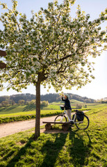 blühender Apfelbaum im Sonnen Gegenlicht, Fahrrad Fahrerin riecht an den Blüten, Hochformat.