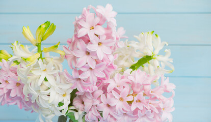 Bouquet of white and pink hyacinths