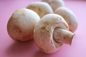 mushrooms on a pink background 