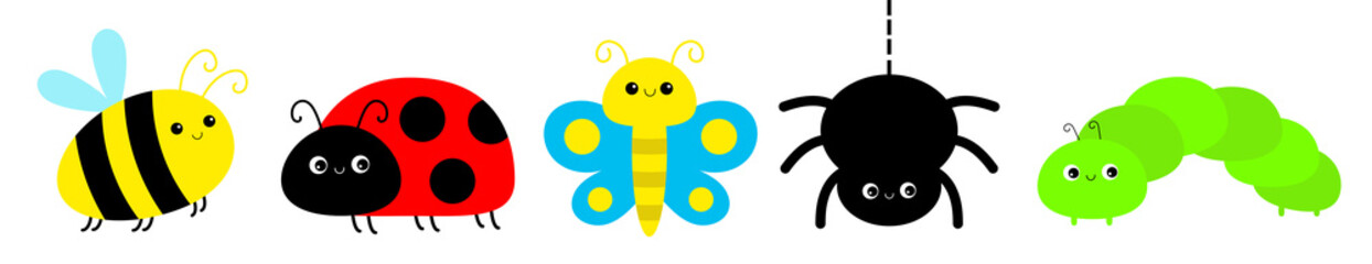 Ladybug ladybird, spider, bee bumblebee, butterfly, lady bug, caterpillar, catapillar. Insect set line. Cute cartoon funny kawaii baby animal character. Flat design. White background. Isolated.
