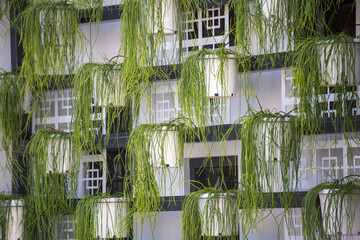 Hanging Plants Garden Wall Outside Building