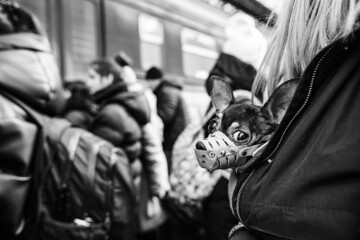 Ukrainian refugees on Lviv railway station waiting for train to escape to Europe