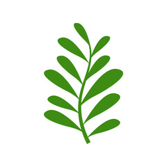 leaf branch graphic design template vector
