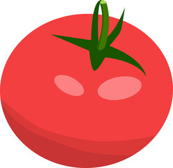 Red tomato. Flat design vector illustration of red tomato on white background