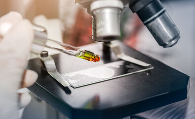 scientist with equipment and science experiments laboratory glassware containing chemical liquid. Health care researchers working in life science laboratory analyzing microscope slides in research lab