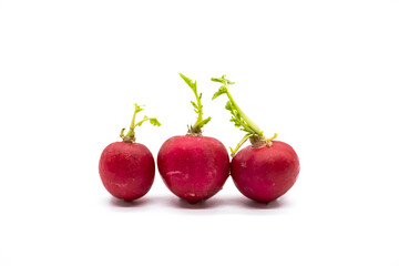 Set of fresh whole radish on white background.