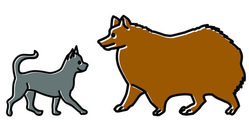 cat and dog are facing each other