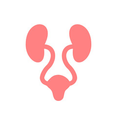 Urology linear icon.