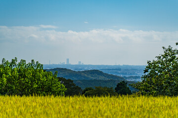 Fototapeta premium 日向薬師の田園地帯と関東平野【神奈川県・伊勢原市】