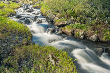Fototapeta premium Spring creek among rocks and green grass. Mountain stream on summer day. Water foams in riverbed, source of moisture for thirst quenching and irrigation