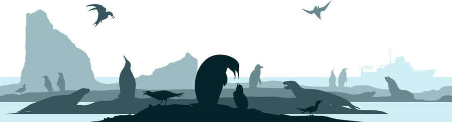 vector seamless antarctica with animals: Magellanic,  Chinstrap, Macaroni, Emperor and King penguins, seal, albatross, sea lion, leopard seal, ross seal, antarctic tern, skua, seagull, fulmar. © Save Jungle