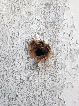 A hole in a wooden painted wall from a bullet close-up. Covering cracked paint