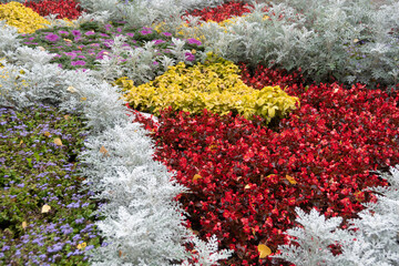 Bright colored flower bed in autumn park. Mix of plants for landscaping city. Creation of natural patterns by landscape designer and florist