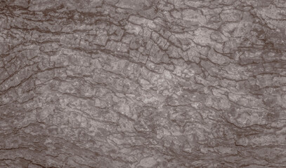 Embossed texture of the bark,  mix color wood  texture background