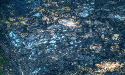 Embossed texture of the bark,  mix color wood  texture background