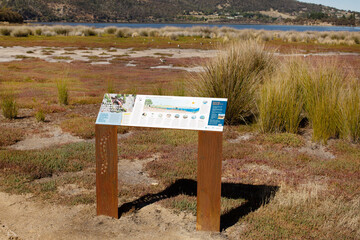 Interpretative sign along a walking track with information about the Old Beach Saltmarsh - 500397343