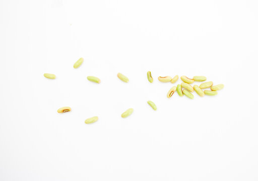 fresh Yard Long Bean seed on white background, selective focus