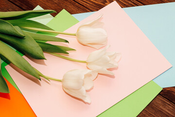 Bouquet of white tulips on colored paper cardboard, floral bouquet collection.