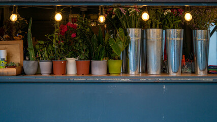 vasos plantas cor