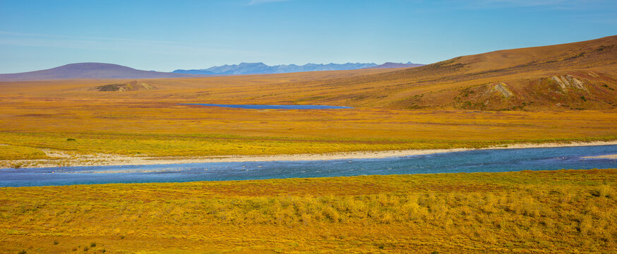 Panorama image of a tundra landscape in autumn colors with river, North Slope, Alaska